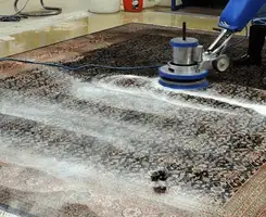 Professional rug cleaning with a rotary floor machine and shampoo foam, deep-cleaning an area rug, in Richmond, VA.