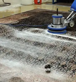 Professional rug cleaning with a rotary floor machine and shampoo foam, deep-cleaning an area rug Richmond, VA.
