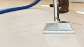 Carpet cleaning wand head gliding over a light carpet during hot-water extraction, Richmond, VA.